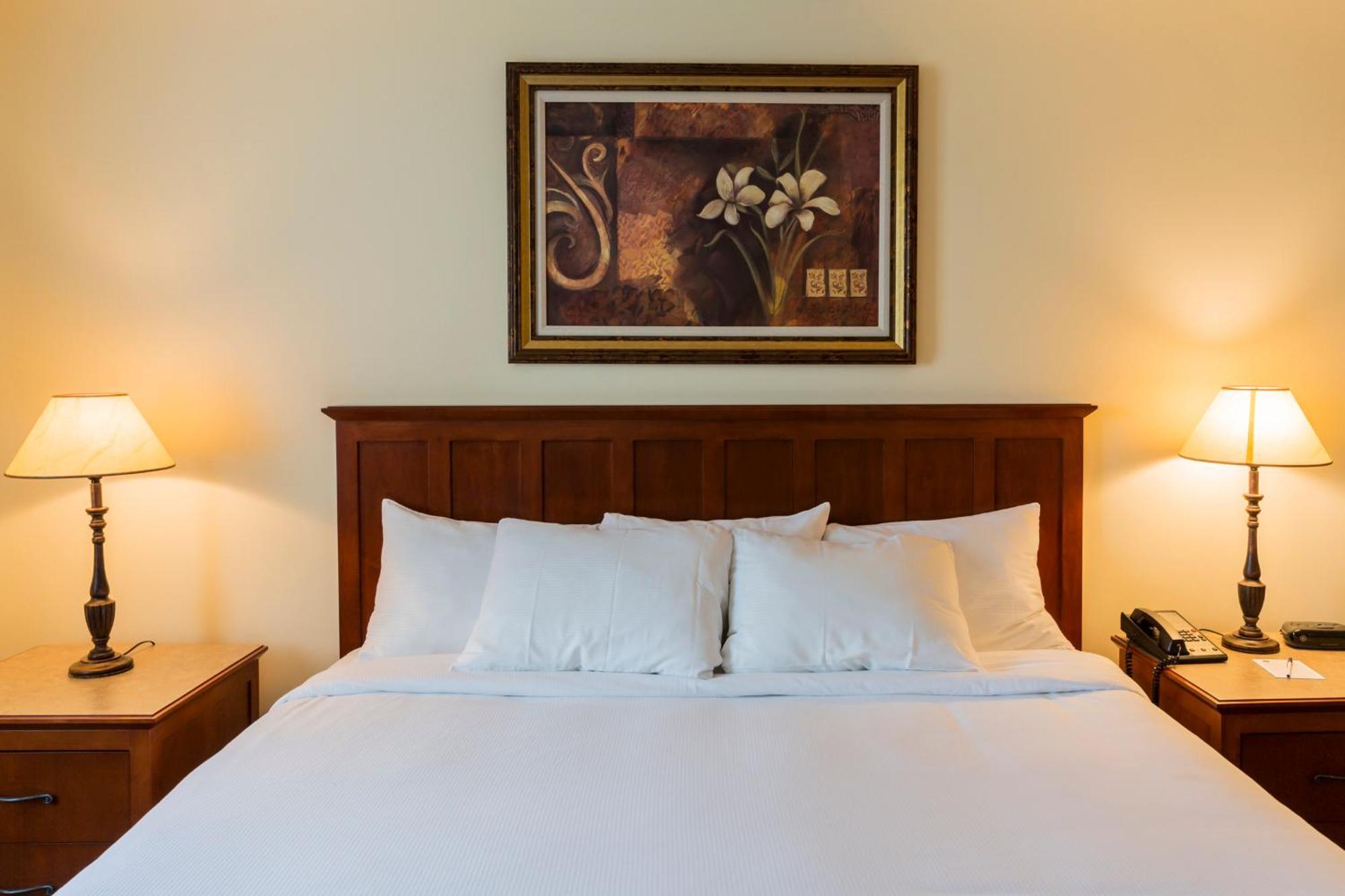 Hotel St-Bernard Saint-Bernard-de-Lacolle Bagian luar foto